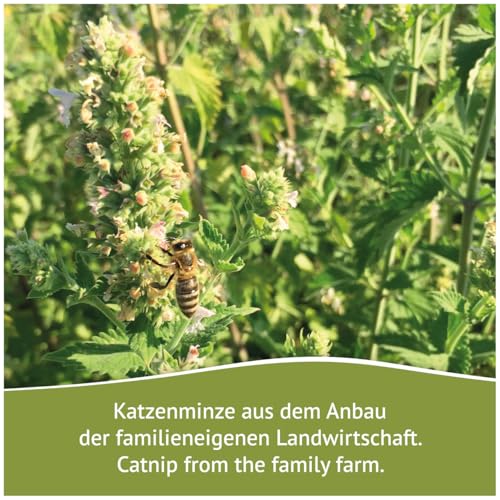 jr-farm-bavarian-catnip-katzenminze-murmeln-10-st-katzenspielzeug image 8