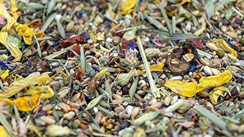 getzoo-goldhamster-basisfutter-500-g-leichtes-futter-ohne-eiwei image 6