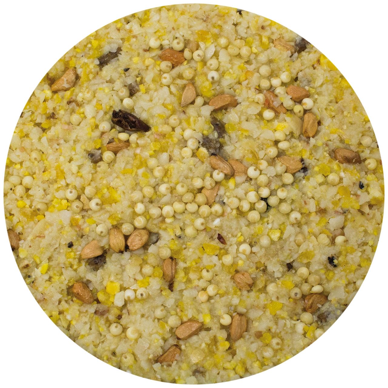 jr-farm-garden-pbar-erdnussbutter-powersaat-350-g-wildvogelfutter image 3