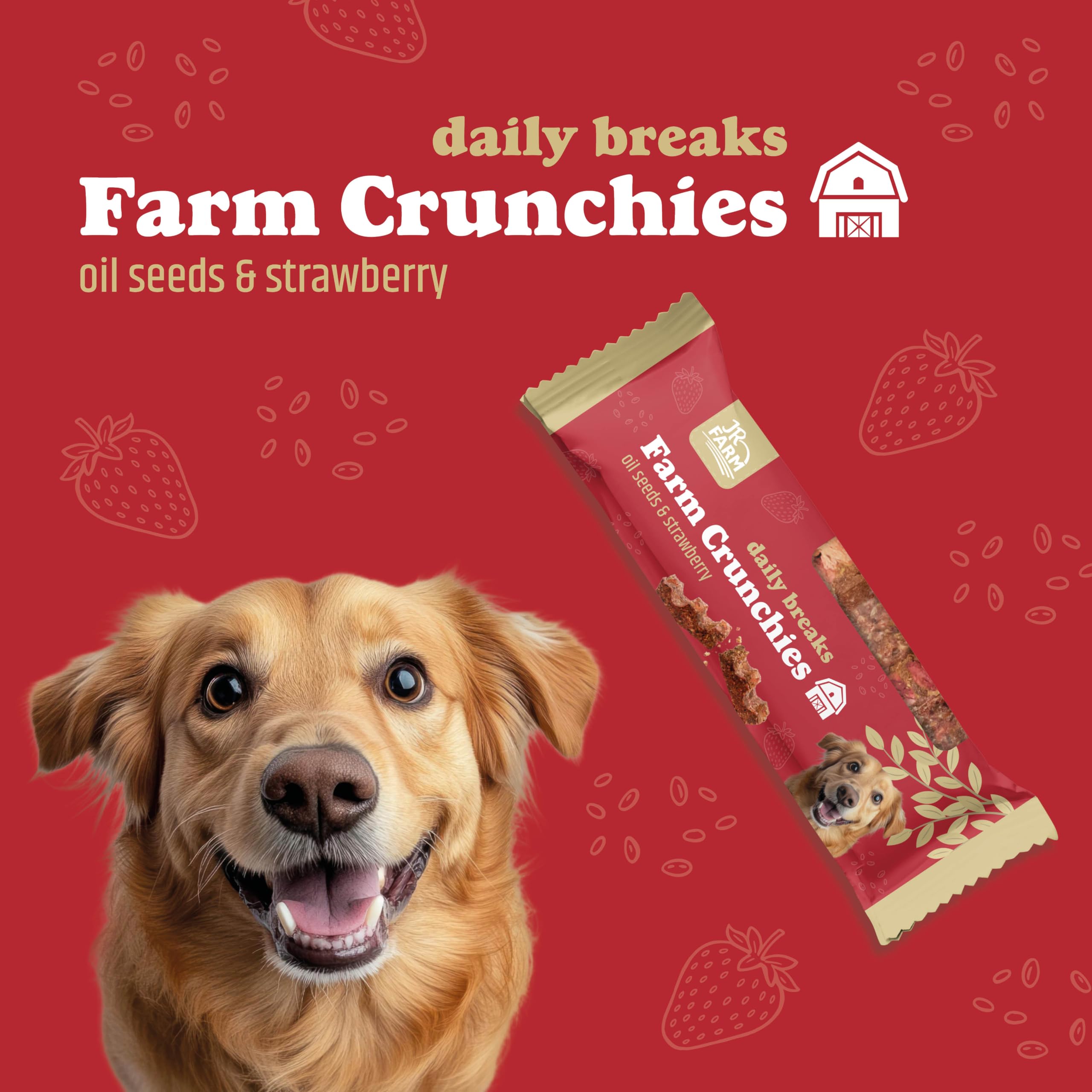 jr-dog-farm-crunchies-oil-seeds-strawberry-hundetnack-2-x-60-g image 3