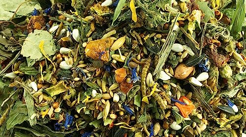 getzoo-rennmausfutter-500-g-naturnah-mit-tierischem-eiwei image 6