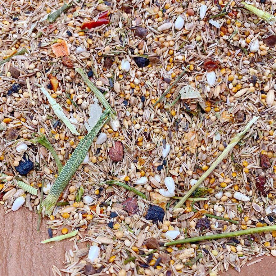 mixerama-rosakakadus-gem-se-beeren-rosakakadufutter-spezialmischung image 8