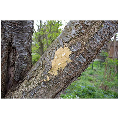 jr-farm-garden-bark-butter-n-sse-2kg-erdnussbutter-f-r-wildv-gel image 6