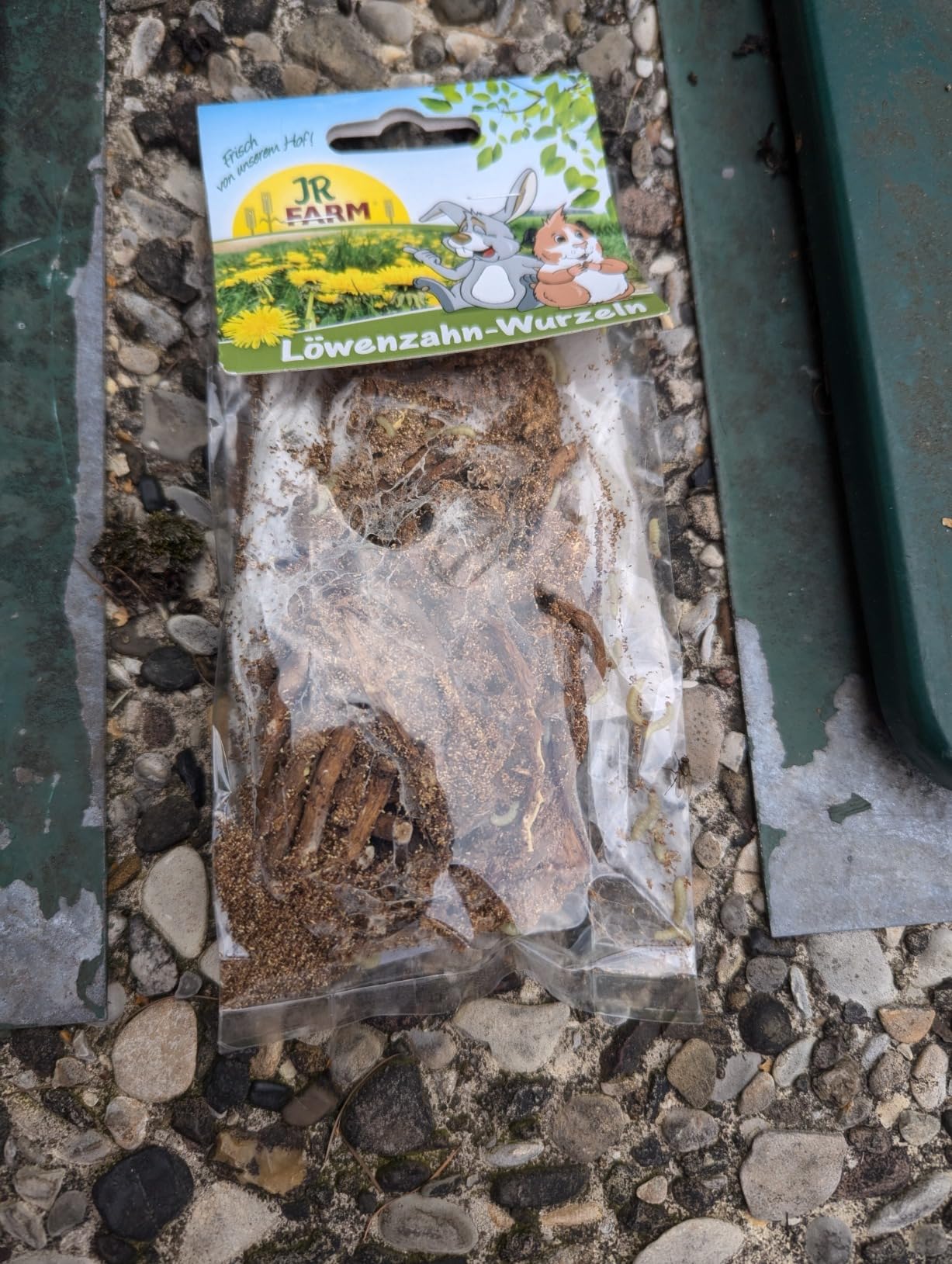 Lieblingssnack meiner Kaninchen