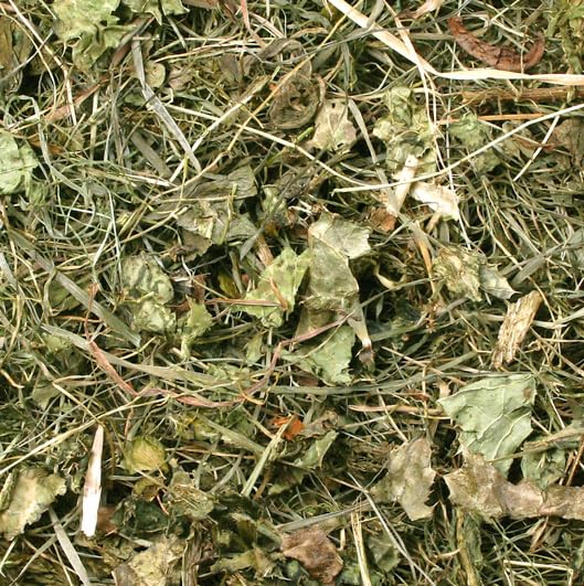 jr-farm-mariendistelwiese-f-r-chinchillas-500g-premium-heu-mit-kr-utern image 4