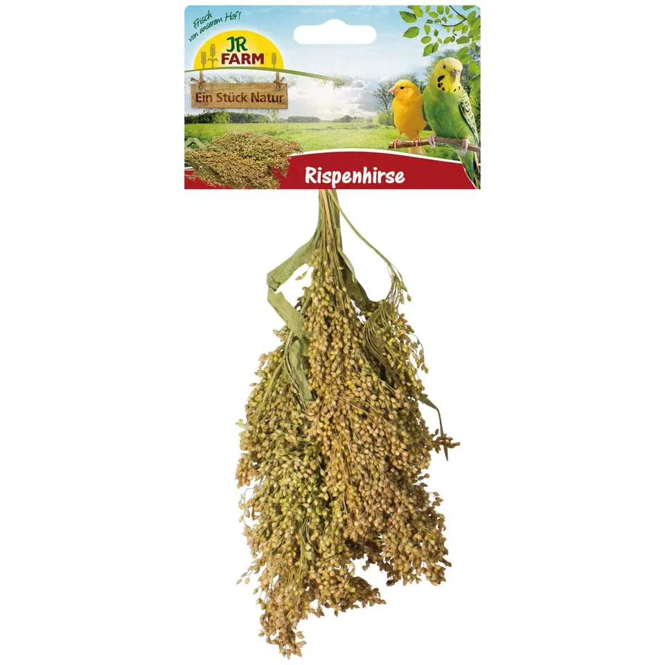 jr-farm-birds-rispenhirse-vogelfutter-100-g image 1