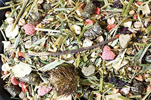 jr-farm-degu-schmaus-10-kg-artgerechtes-alleinfutter-f-r-degus-ohne-fr-chte image 4