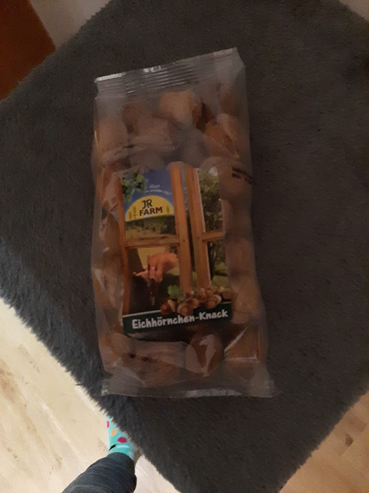 Eichhörnchen kommt täglich