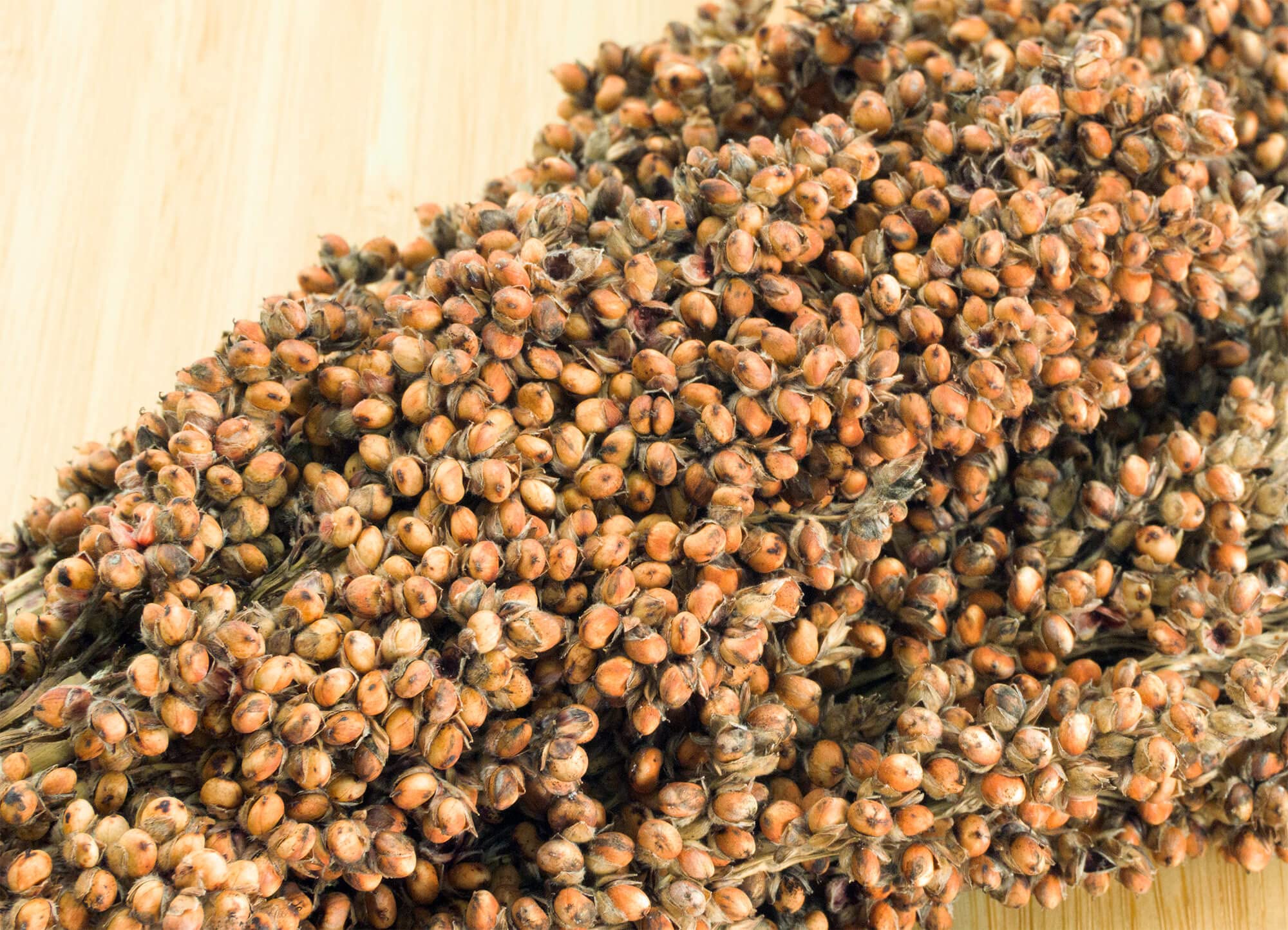 getzoo-sorghum-wei-getrocknet-im-bund-erlebnisfutter-besch-ftigung-f-r-nager image 2
