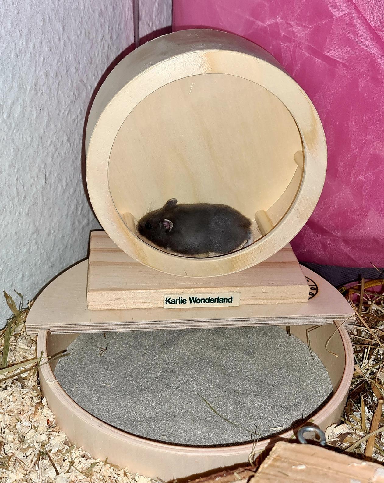 Kein Sand mehr im Gehege