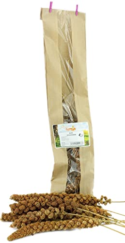 getzoo-rote-kolbenhirse-5-st-ck-vitaminreiches-knabberfutter-f-r-nager image 3