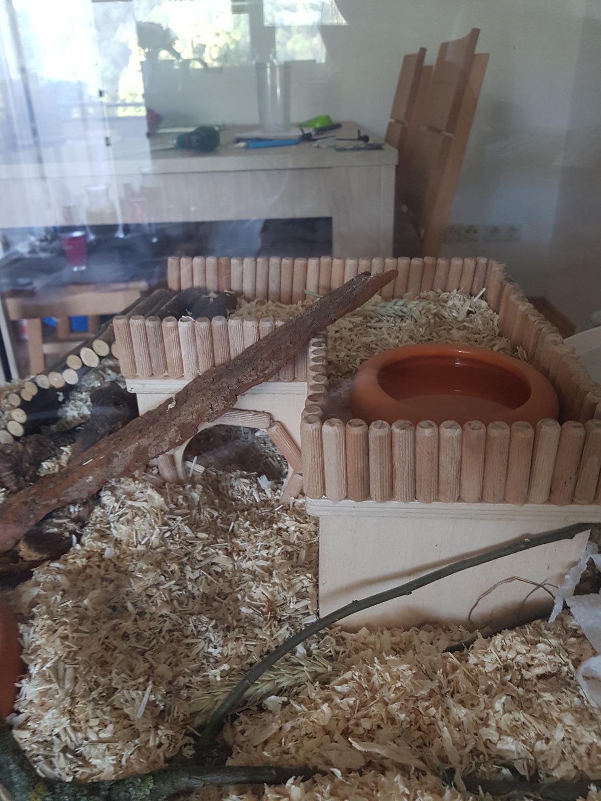 Tolles Haus für meinen Hamster