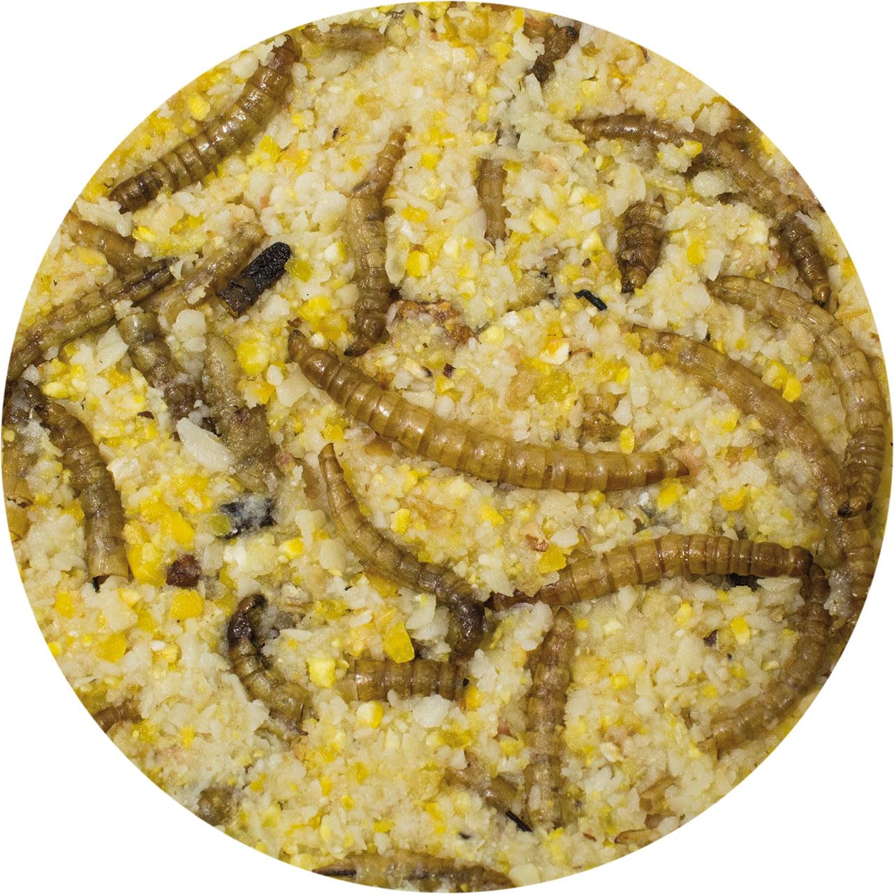 jr-farm-garden-ppot-erdnussbutter-mehlw-rmer-400g-wildvogel-energie image 2