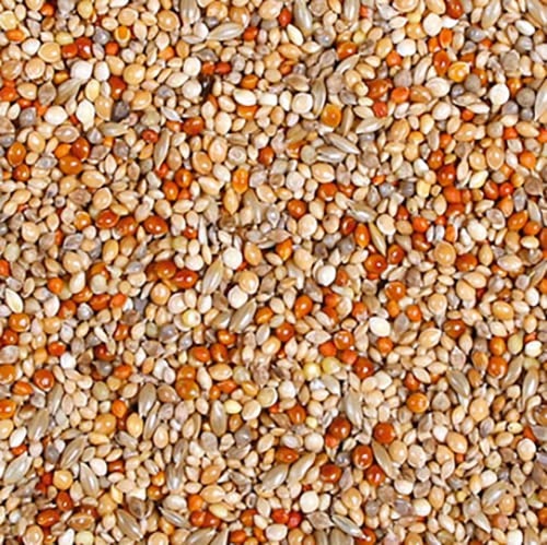 jr-farm-birds-exoten-schmaus-1-kg-exotenfutter image 3