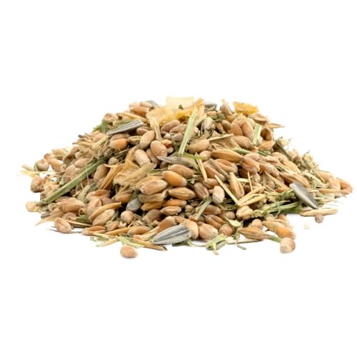 jr-garden-legepower-fr-hst-ck-2-6kg-eimer-h-hner-wachteln image 6