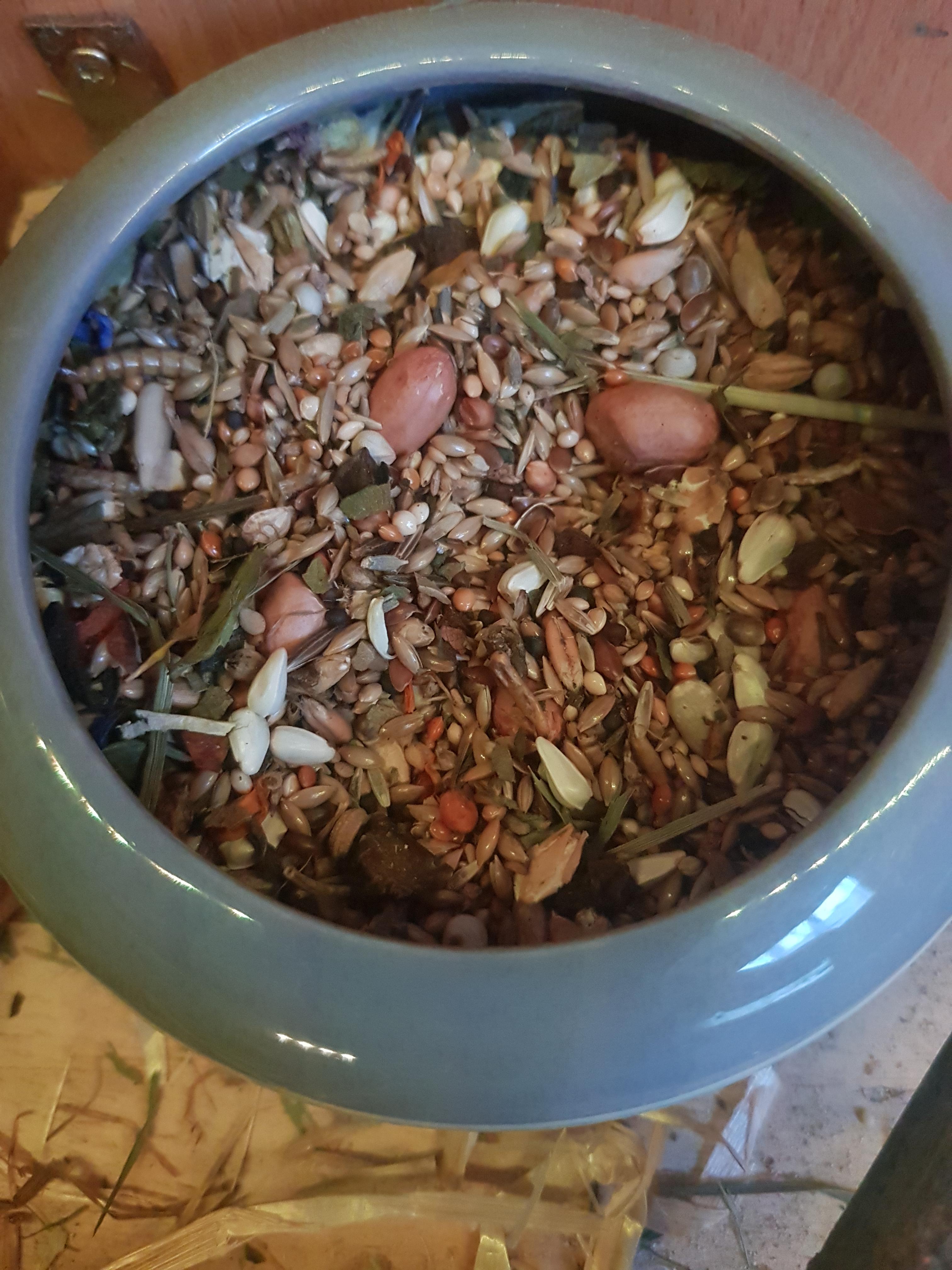 Mäuse sind begeistert