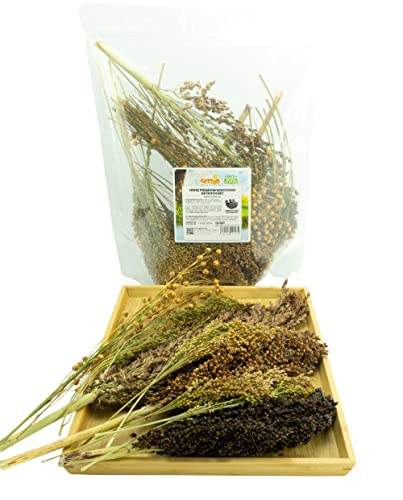 getzoo-hirse-premium-mischung-bund-getrocknet-160-g-erlebnisfutter image 4