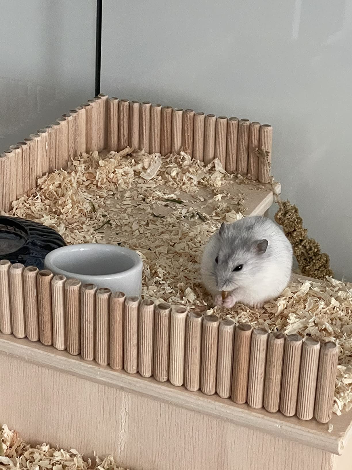 Enkel-Hamster liebt es