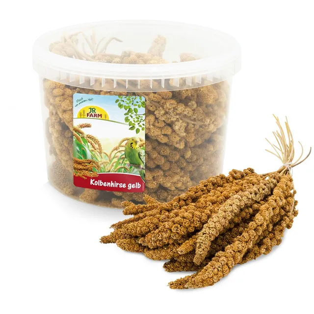 jr-farm-birds-kolbenhirse-gelb-im-eimer-500-g image 1