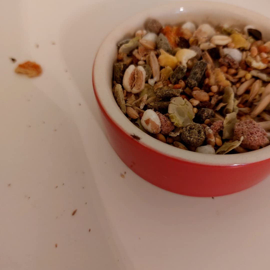 Klasse Futter