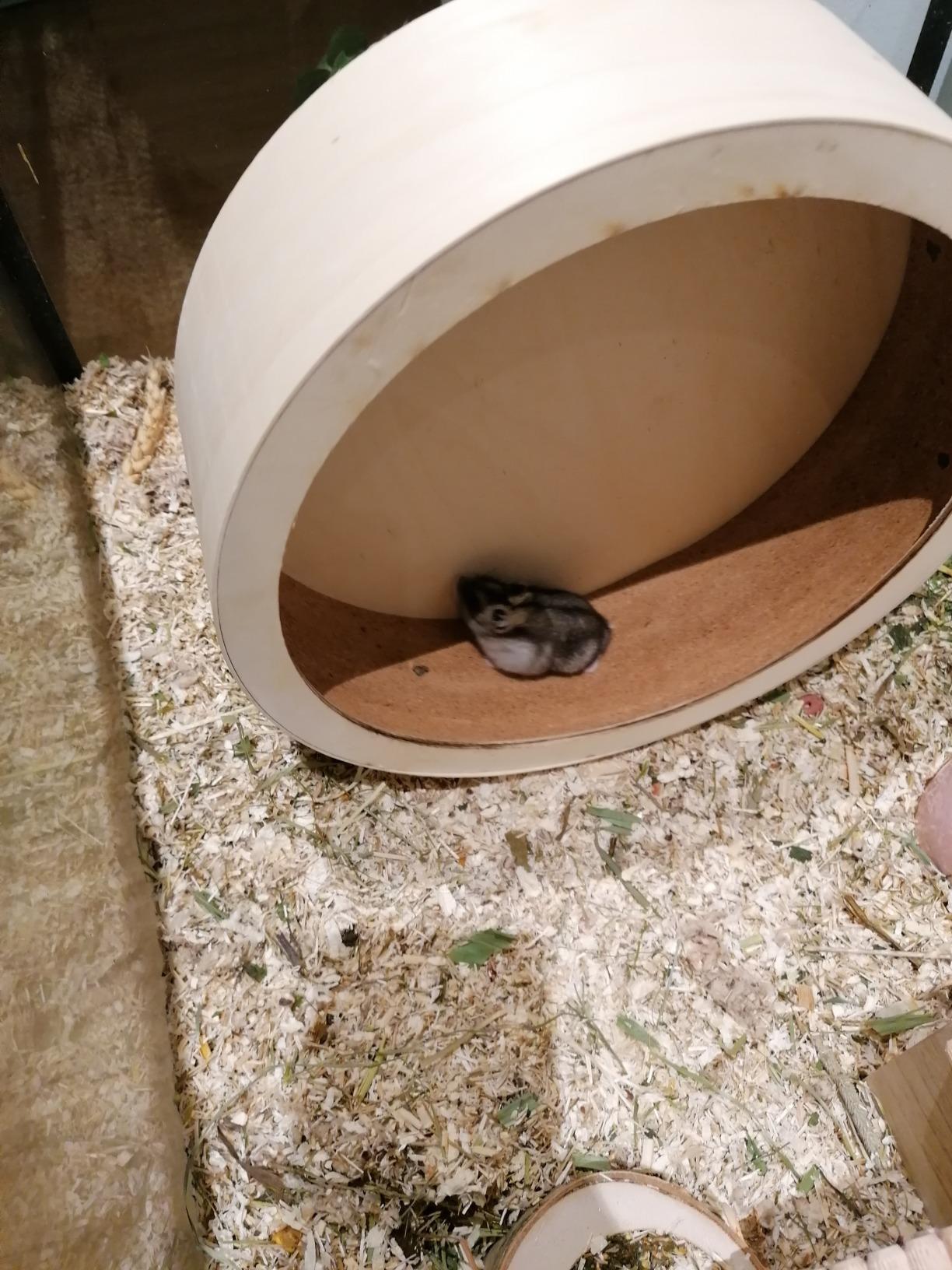 Tierschutzgerecht und schön