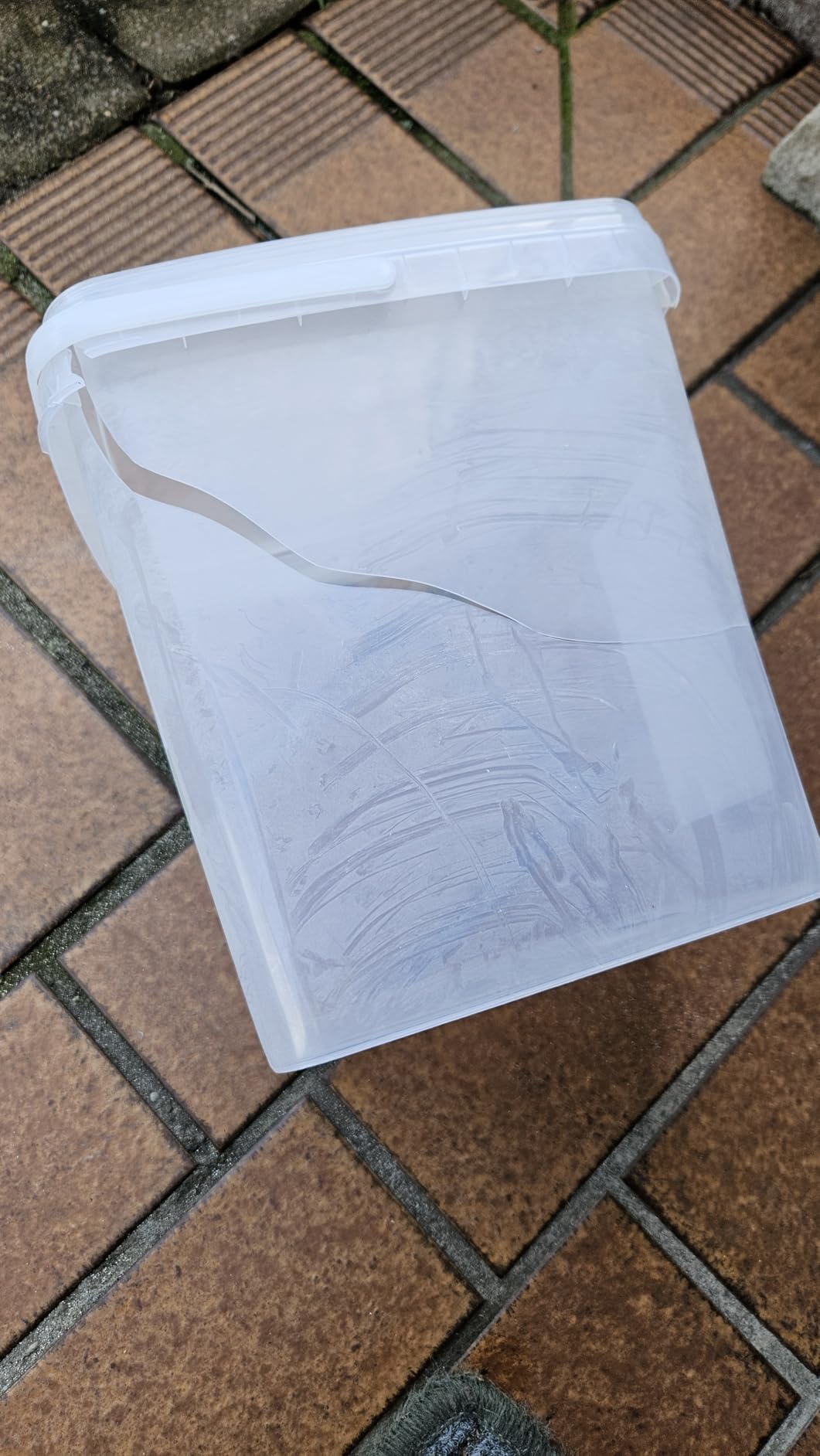 Enkelkinder lieben das Zuschauen