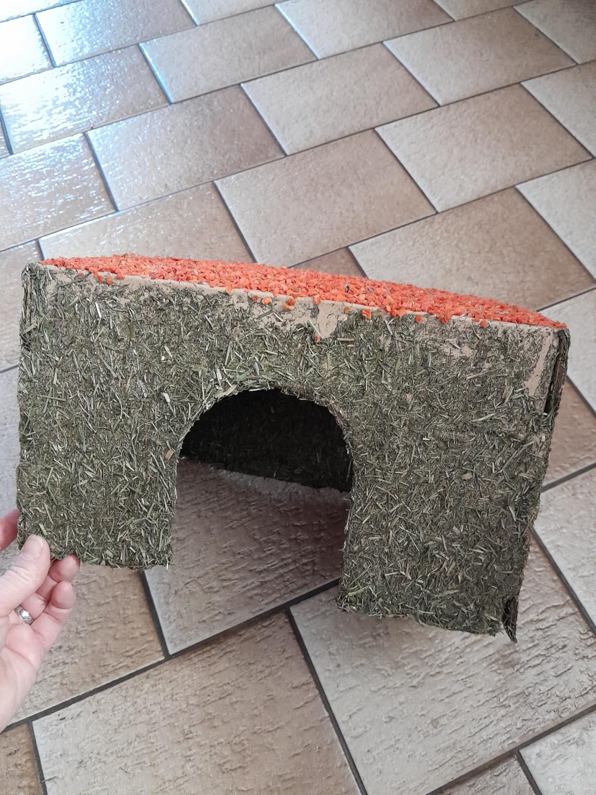 Beschäftigung pur für meine Ratten