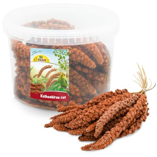 jr-farm-birds-kolbenhirse-rot-im-eimer-500-g-picksnack-f-r-v-gel image 8