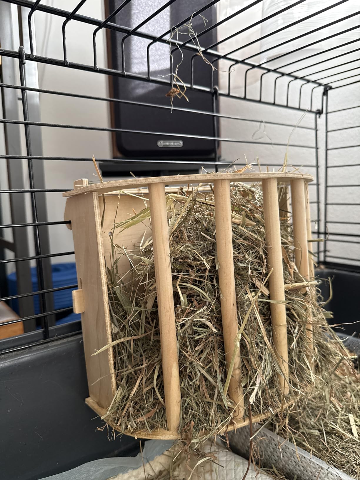 Meine Kaninchen sind verrückt danach