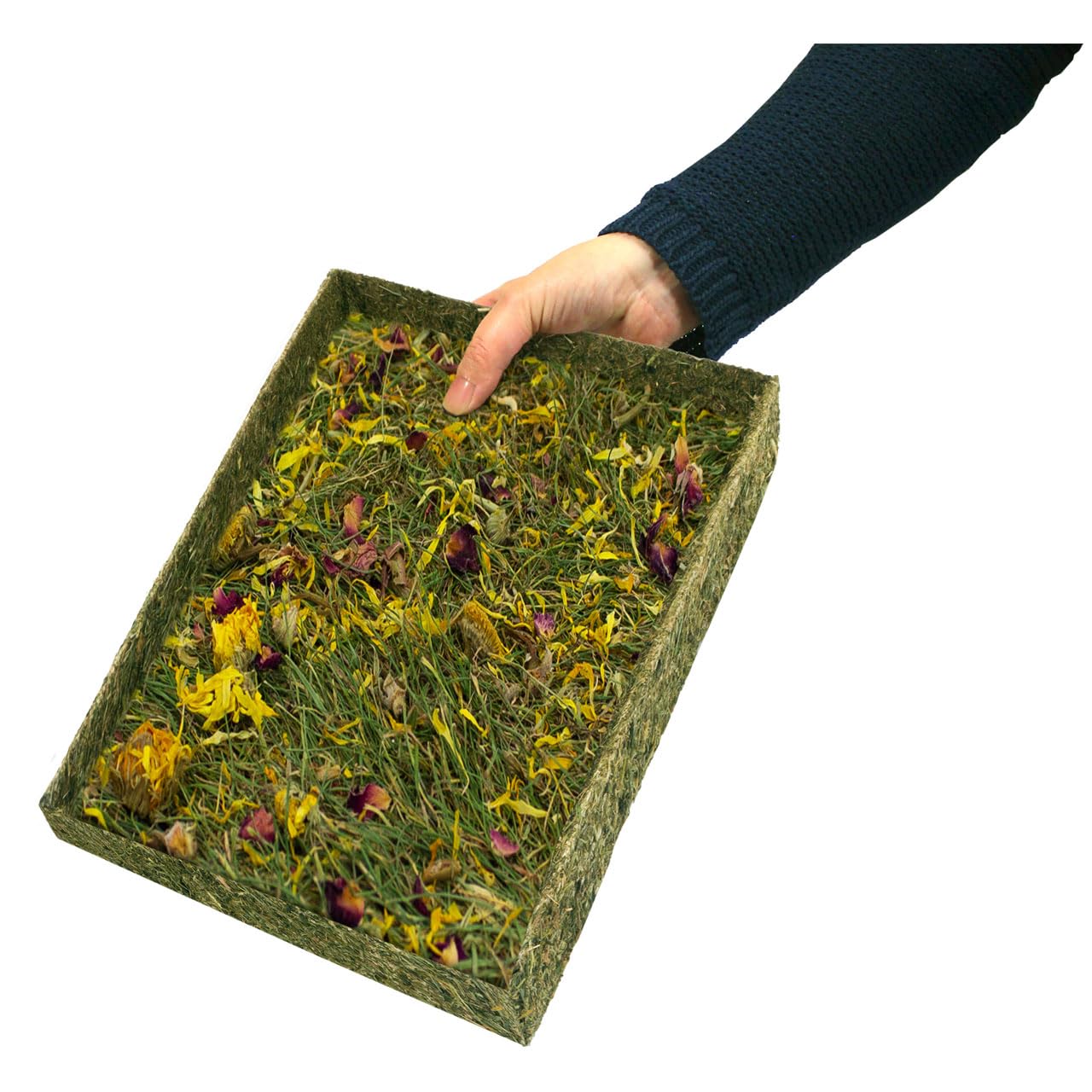 jr-farm-esn-kr-uterwiese-mit-bl-ten-550g-essbares-st-ck-natur-f-r-nager image 5