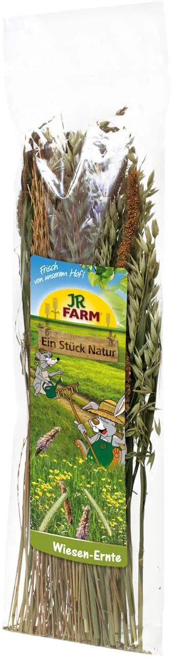 jr-farm-esn-wiesen-ernte-80-g-naturnahe-kr-uter-gr-ser-f-r-nager image 1
