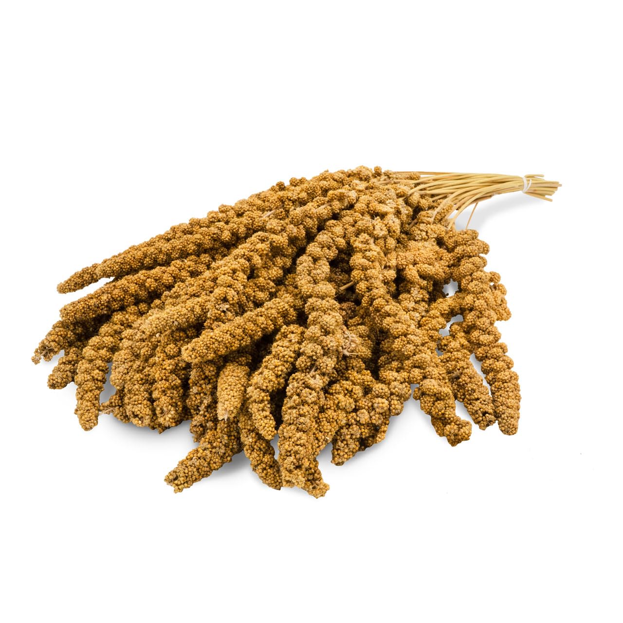 jr-farm-birds-kolbenhirse-gelb-1-kg-f-r-sittiche-und-exoten image 2