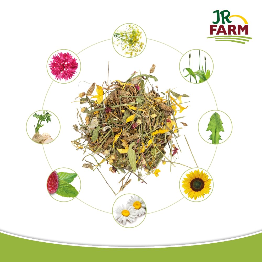 jr-farm-bl-ten-traum-380-g-eimer-kr-uter-bl-tenmix-f-r-zwergkaninchen-und-nager image 3