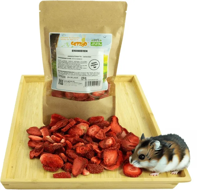 getzoo-erdbeeren-25-g-schonend-getrocknete-erdbeerst-cke-f-r-nager image 1