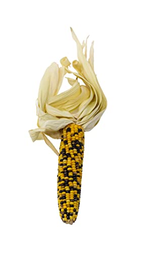 getzoo-maispalmen-mix-getrocknet-3-st-ck-bunte-maisk-rner-f-r-nager image 6
