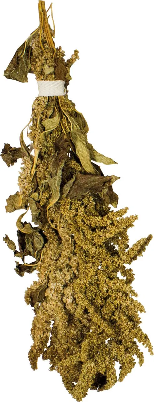 jr-farm-birds-amaranth-30-g-nahrungserg-nzung-f-r-v-gel image 1