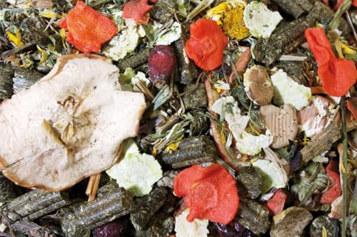 jr-farm-grainless-mix-chinchilla-degu-futter-650-g image 8