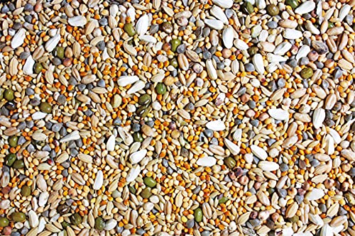 jr-farm-birds-keimfutter-gro-sittich-keimf-higes-erg-nzungsfutter-f-r-gro-sittic image 6