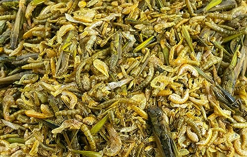 getzoo-insektenmischung-50g-gammarus-grash-pfer-maden-mehlw-rmer-shrimps image 5