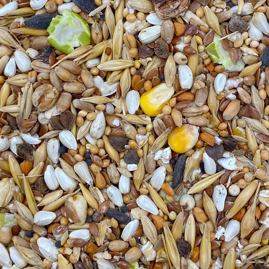 mixerama-farbratten-basismischung-alleinfutter-ohne-pellets image 8
