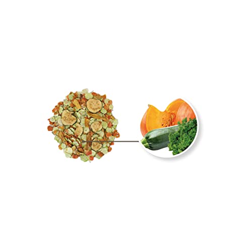 jr-farm-wellness-flakes-garten-gem-se-650-g-getreidefreie-gem-seflocken image 6