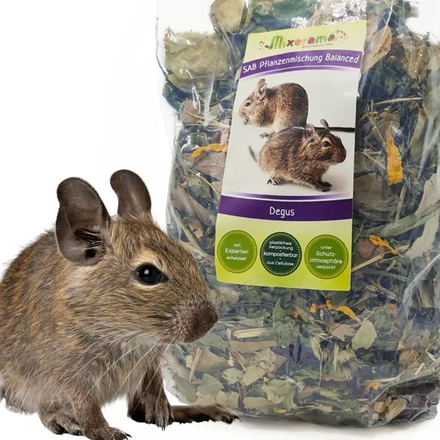 mixerama-degus-sab-pflanzenmischung-balanced-getreidefreies-alleinfutter-ohne-pe image 1