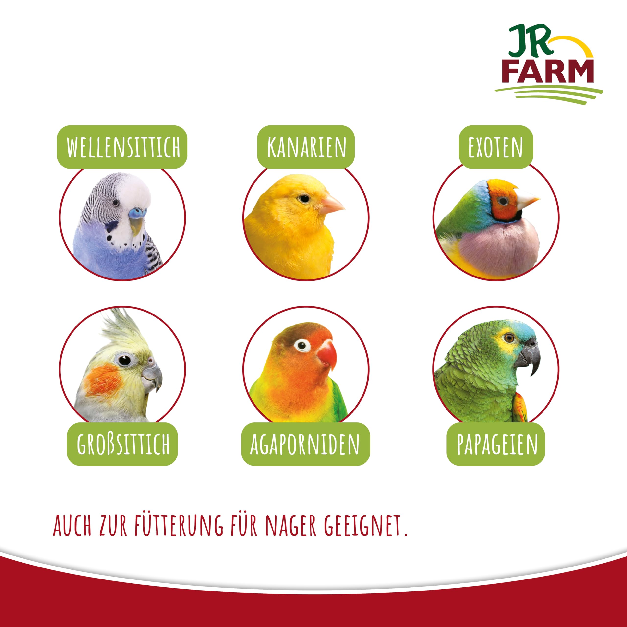 jr-farm-birds-kolbenhirse-gelb-im-eimer-500-g image 5