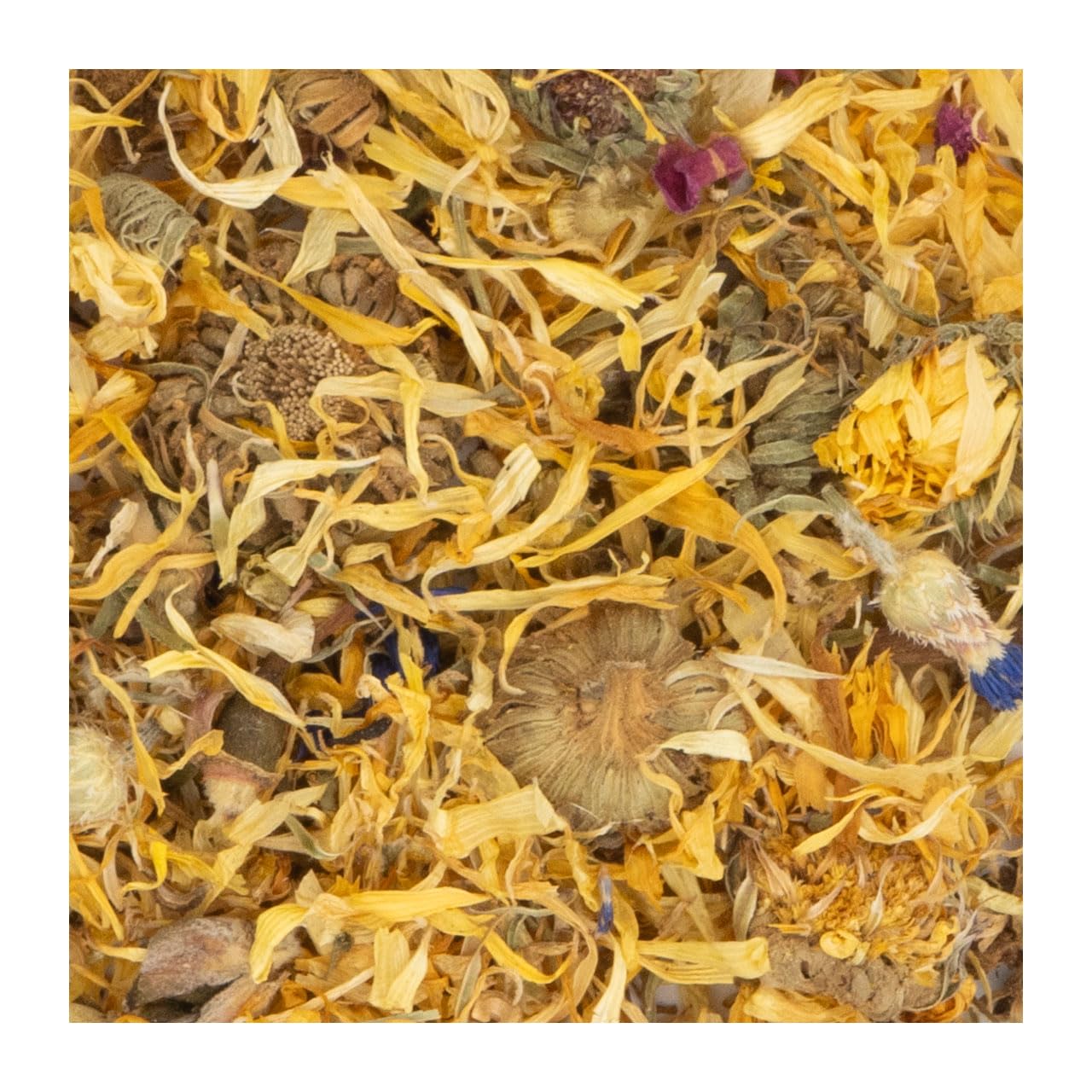 jr-farm-chinchilla-bl-tengarten-erg-nzungsfutter-50-g image 3
