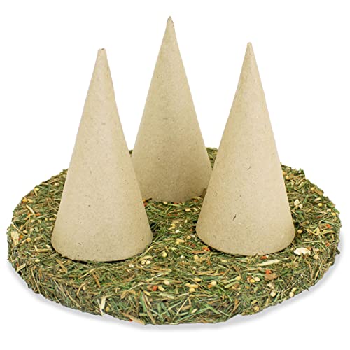 jr-farm-birds-h-tchen-spiel-snackplatte-f-r-zierv-gel-80-g image 8