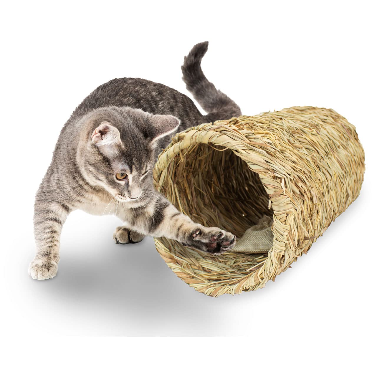 jr-farm-cat-bavarian-catnip-katzenminze-tunnel-aus-miscanthus-gras image 3