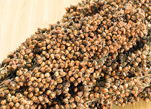 getzoo-sorghum-wei-getrocknet-im-bund-erlebnisfutter-besch-ftigung-f-r-nager image 5