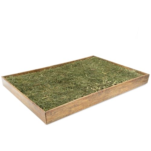 jr-farm-ein-st-ck-natur-relax-wiese-f-r-katzen-katzengras-schale-54-x-37-x-4-5-c image 7