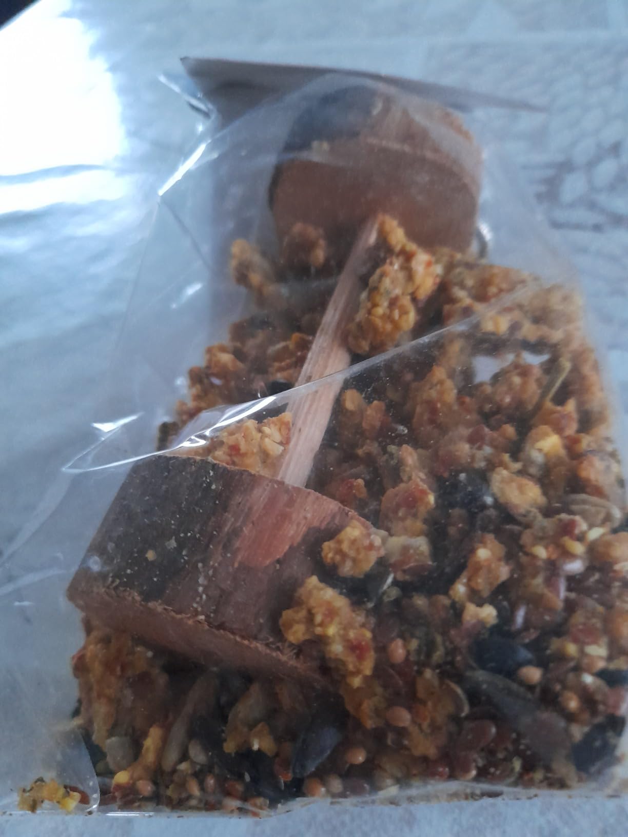 Gute Beschäftigung für Graupapagei