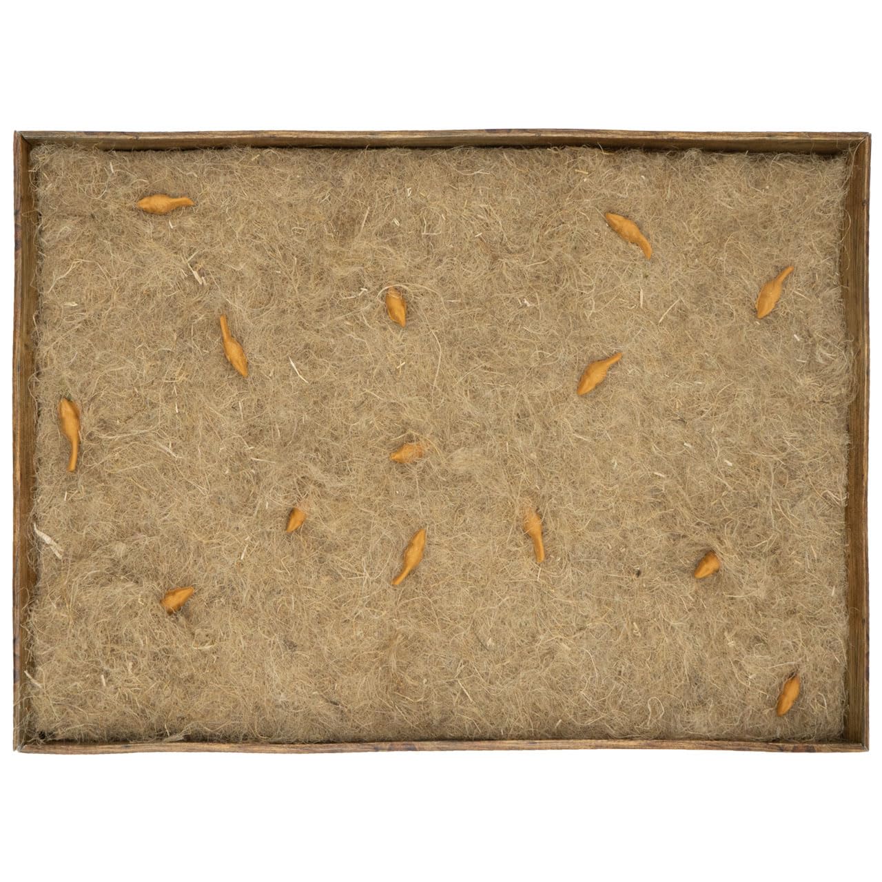 jr-farm-cat-bti-aktiv-teppich-54-x-37-x-4-5-cm-aus-hanf image 4